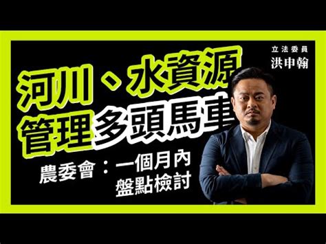 多頭馬車意思|多頭馬車 – 成語大典